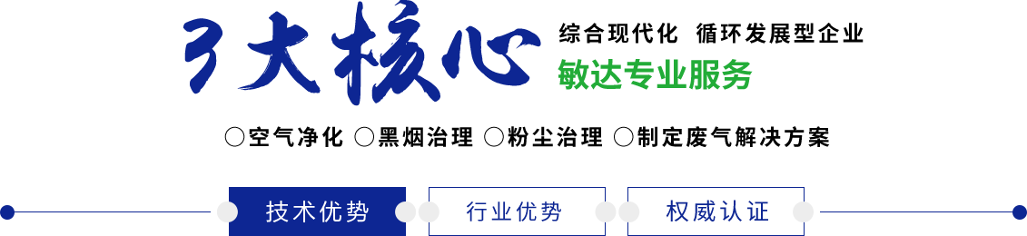 男人把鸡巴操进女人骚穴调教在线视频敏达环保科技（嘉兴）有限公司